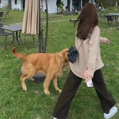 羊与狼的恋爱和杀人
